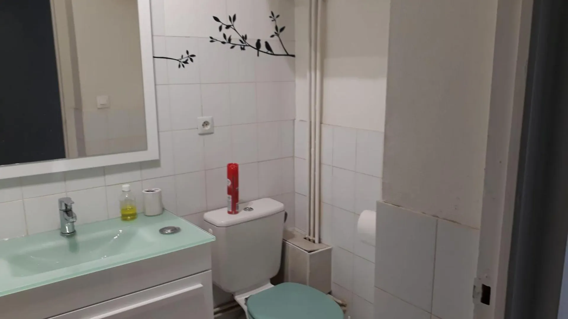 Appartement Lyon 7 Gerland Apartment